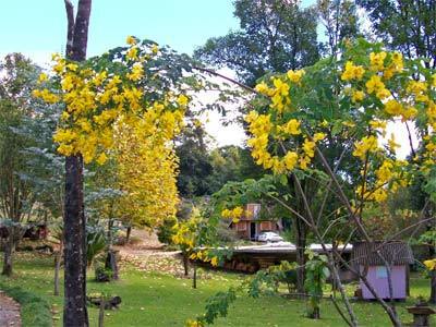 Chale Dos Platanos Hotel Gramado Ngoại thất bức ảnh